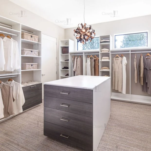 An image of a Large Walk In Closet Room - Oxford White - Tryto Savatre