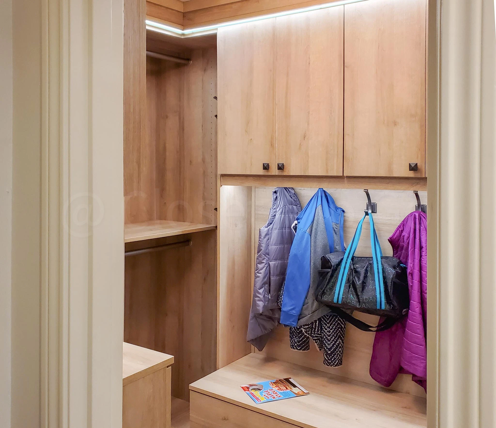 An image of a Luxury-DIY Entry Closet - Sheer Beauty